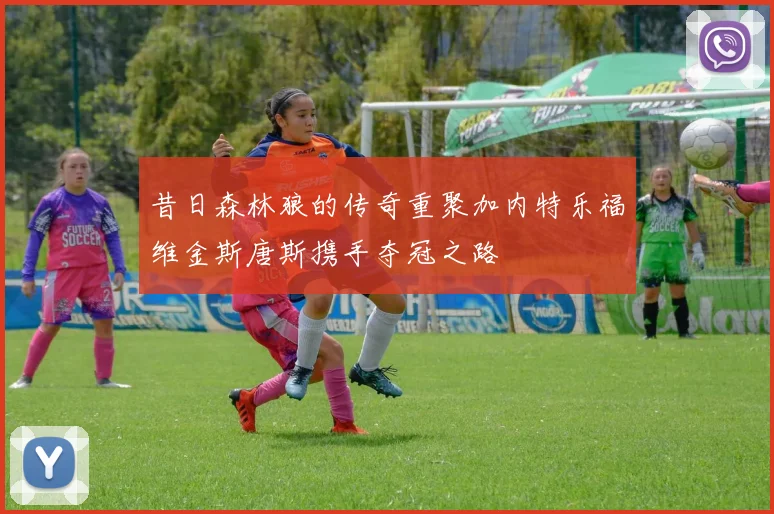 昔日森林狼的传奇重聚加内特乐福维金斯唐斯携手夺冠之路